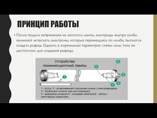 ПРИНЦИП РАБОТЫ После подачи напряжения на контакты лампы, электроды внутри колбы начинают