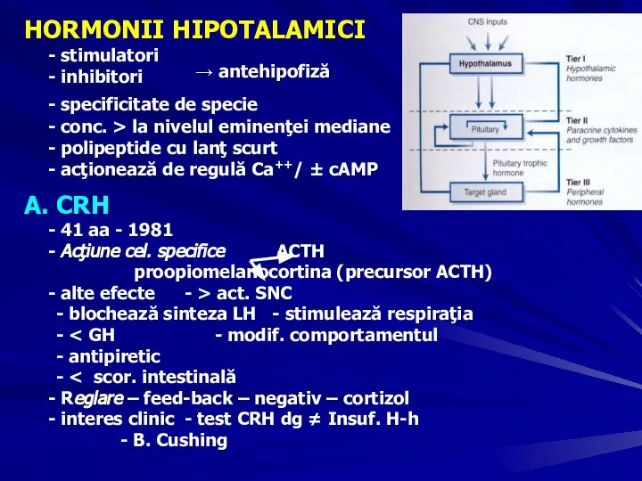 HORMONII HIPOTALAMICI - stimulatori - inhibitori - specificitate de specie - conc.