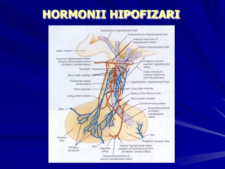 HORMONII HIPOFIZARI