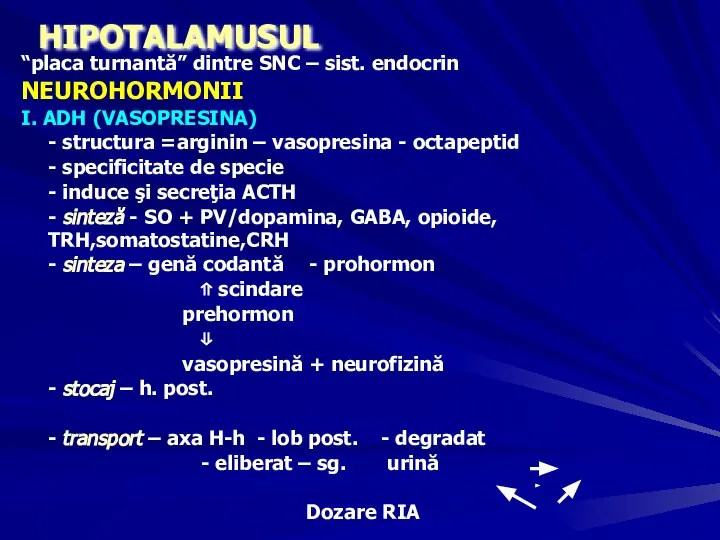 HIPOTALAMUSUL “placa turnantă” dintre SNC – sist. endocrin NEUROHORMONII I. ADH (VASOPRESINA)