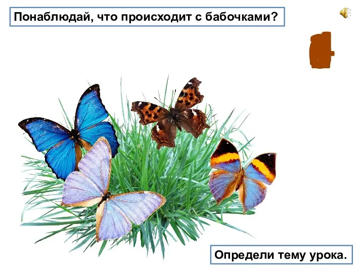 4 3 2 1 0 Понаблюдай, что происходит с бабочками? Определи тему урока.