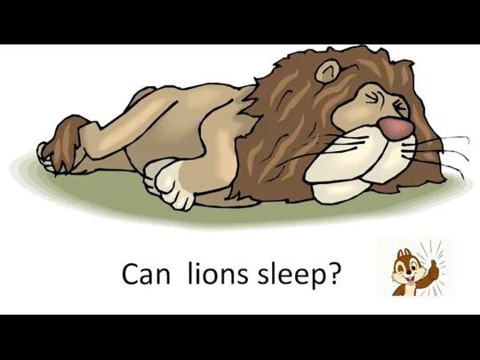 Can lions sleep?