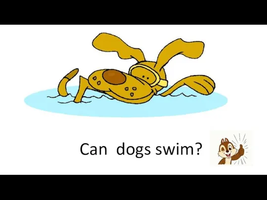 Can dogs swim?