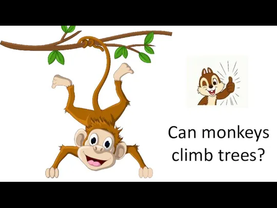 Can monkeys climb trees?