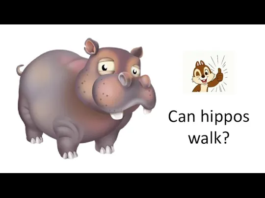 Can hippos walk?