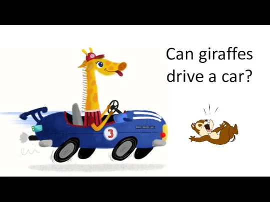 Can giraffes drive a car?