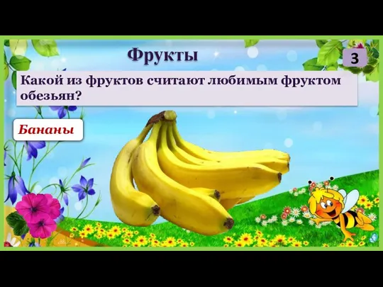 Бананы Какой из фруктов считают любимым фруктом обезьян? 3 Фрукты