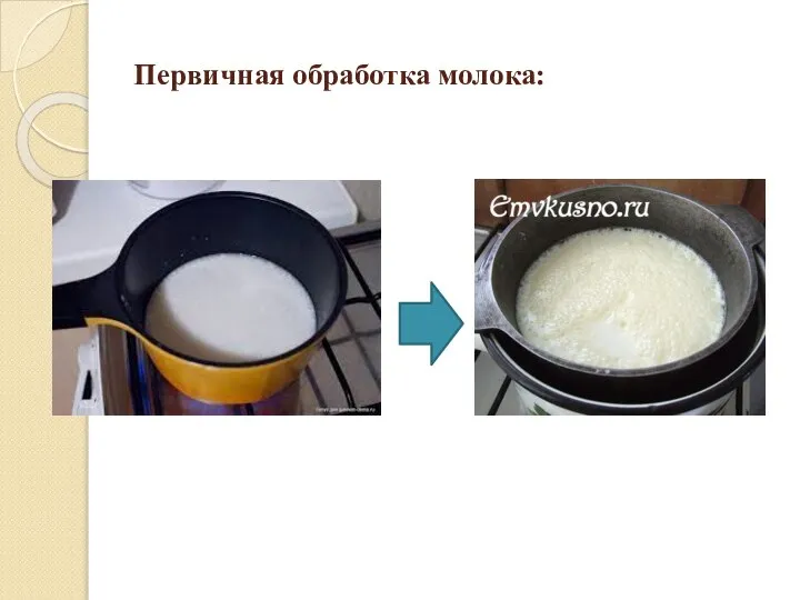 Первичная обработка молока: