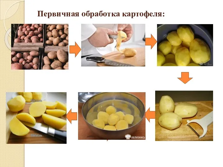 Первичная обработка картофеля: