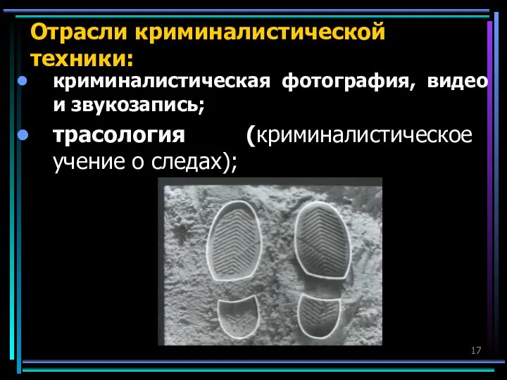 Отрасли криминалистической техники: криминалистическая фотография, видео и звукозапись; трасология (криминалистическое учение о следах);