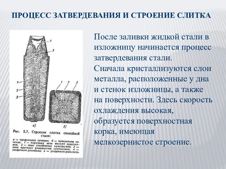 ПРОЦЕСС ЗАТВЕРДЕВАНИЯ И СТРОЕНИЕ СЛИТКА После заливки жидкой стали в изложницу начинается