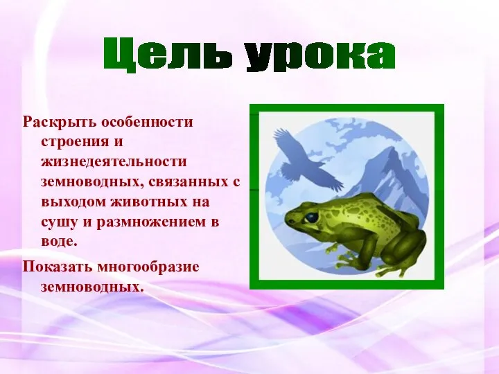 Цель урока Раскрыть особенности строения и жизнедеятельности земноводных, связанных с выходом животных