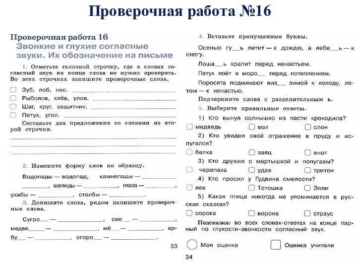 Проверочная работа №16