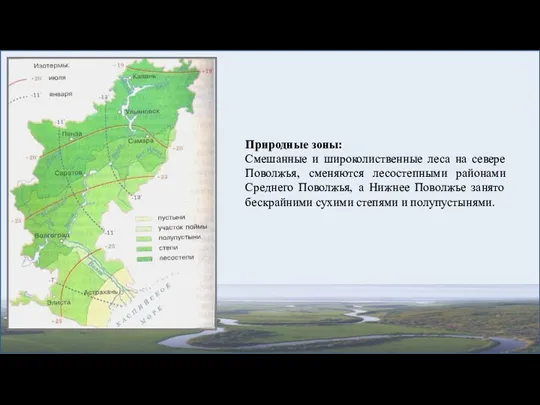 Природные зоны: Смешанные и широколиственные леса на севере Поволжья, сменяются лесостепными районами