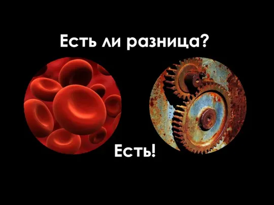 Есть ли разница? Есть!