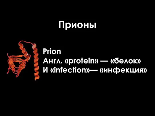 Прионы Prion Англ. «protein» — «белок» И «infection»— «инфекция»