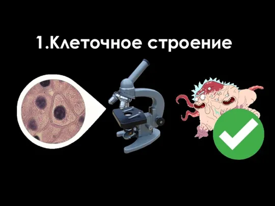 1.Клеточное строение