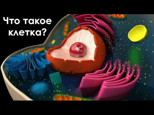 Что такое клетка?