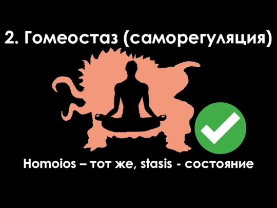 2. Гомеостаз (саморегуляция) Homoios – тот же, stasis - состояние