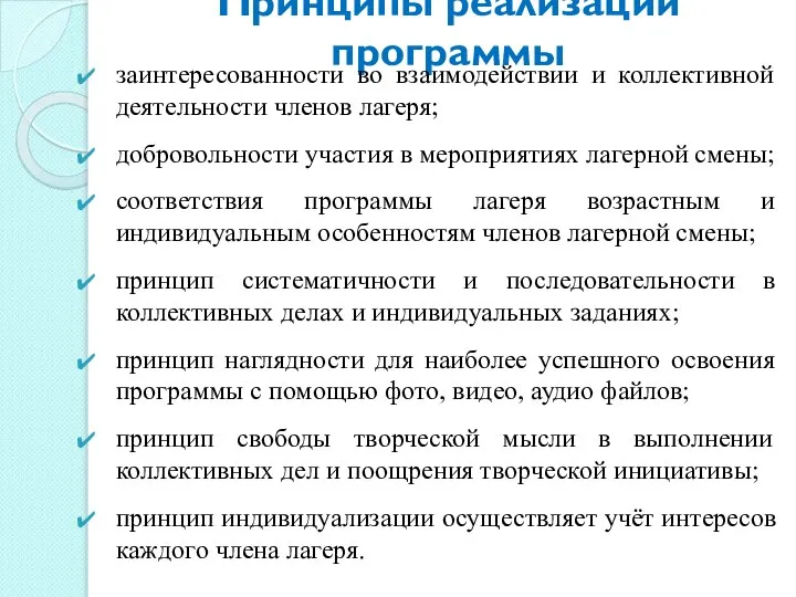 Принципы реализации программы заинтересованности во взаимодействии и коллективной деятельности членов лагеря; добровольности