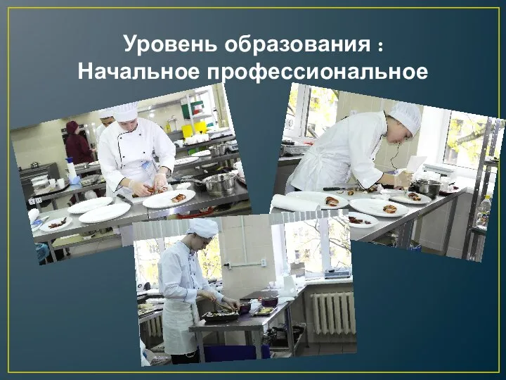 Уровень образования : Начальное профессиональное