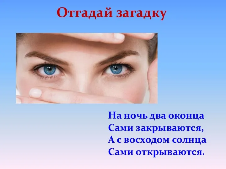 На ночь два оконца Сами закрываются, А с восходом солнца Сами открываются. Отгадай загадку