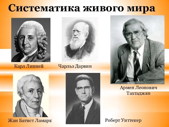 Систематика живого мира Карл Линней Жан Батист Ламарк Чарльз Дарвин Армен Леонович Тахтаджян Роберт Уиттекер