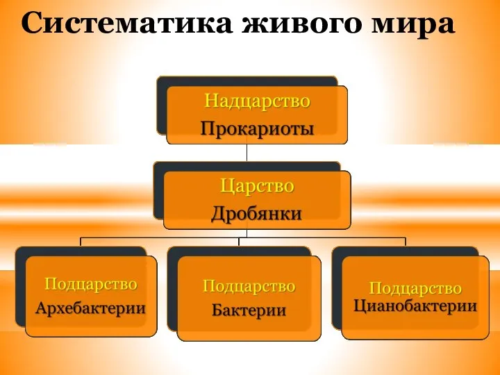 Систематика живого мира