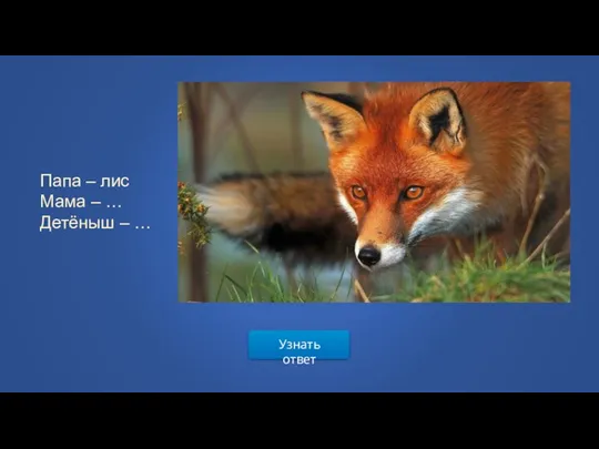 Узнать ответ Папа – лис Мама – … Детёныш – …
