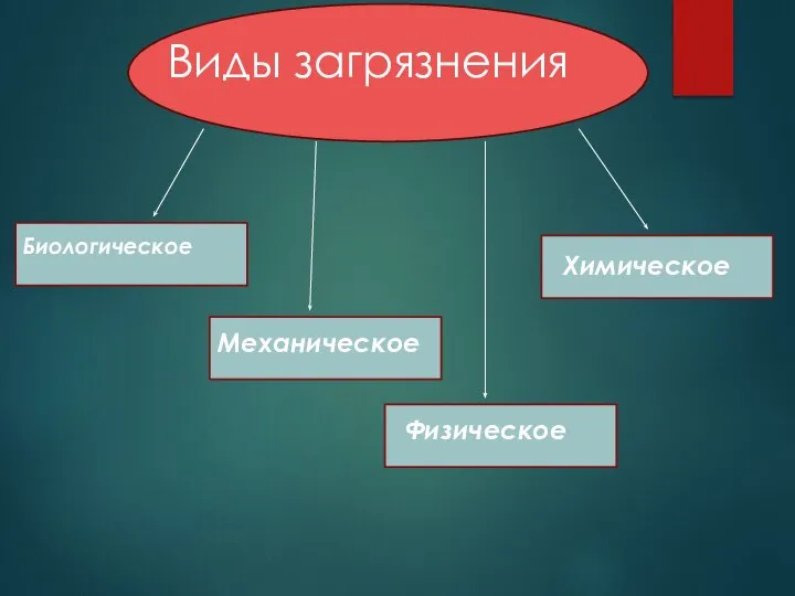 Виды загрязнения Биологическое Механическое Физическое Химическое