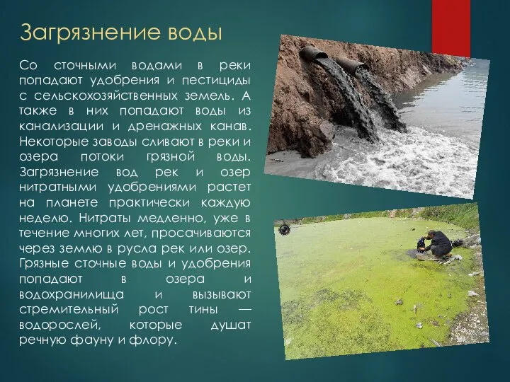 Загрязнение воды Со сточными водами в реки попадают удобрения и пестициды с