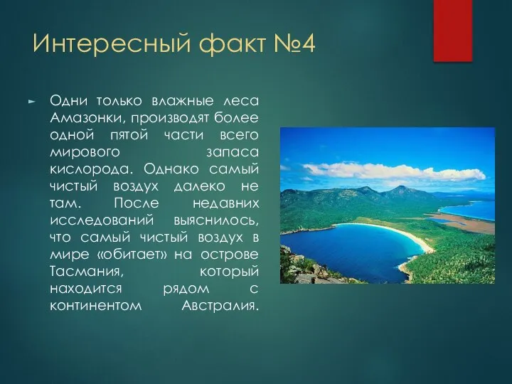 Интересный факт №4 Одни только влажные леса Амазонки, производят более одной пятой