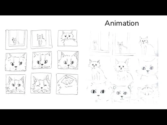 Animation