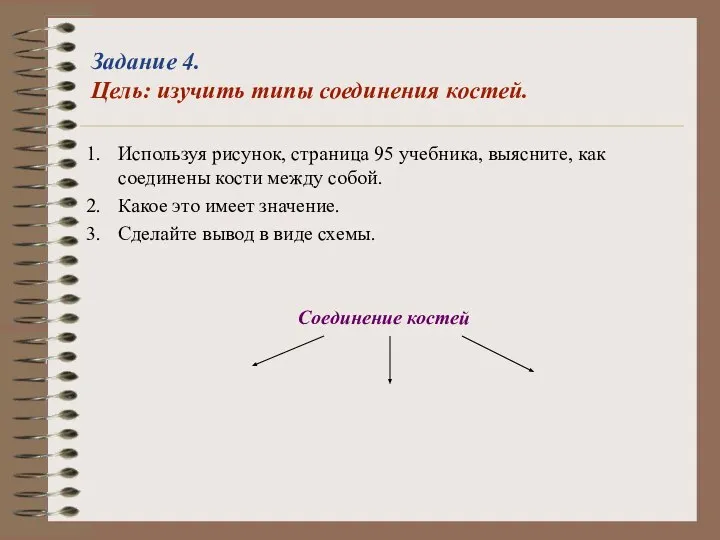 Задание 4. Цель: изучить типы соединения костей. Используя рисунок, страница 95 учебника,