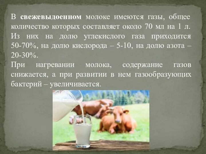 В свежевыдоенном молоке имеются газы, общее количество которых составляет около 70 мл