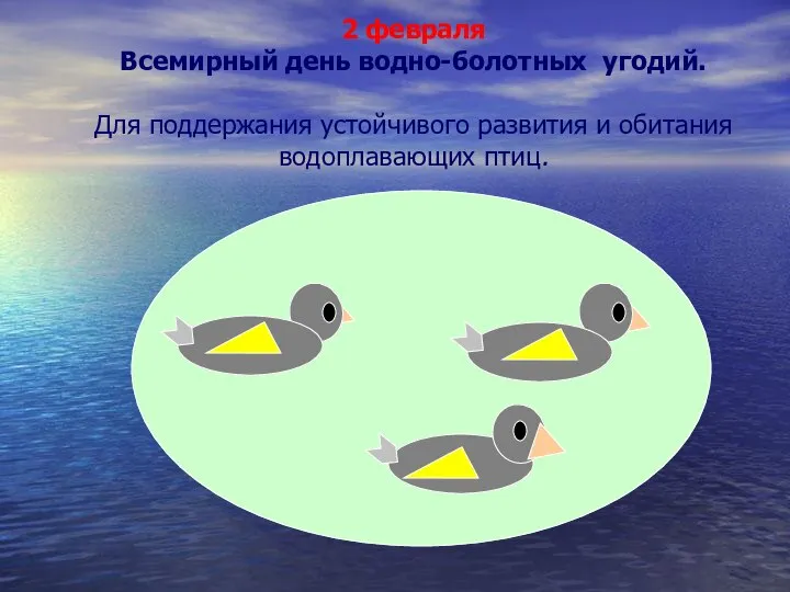 2 февраля Всемирный день водно-болотных угодий. Для поддержания устойчивого развития и обитания водоплавающих птиц.