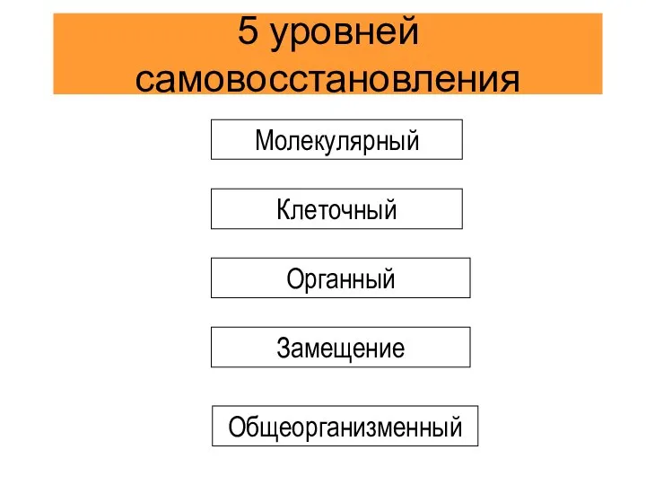 5 уровней самовосстановления
