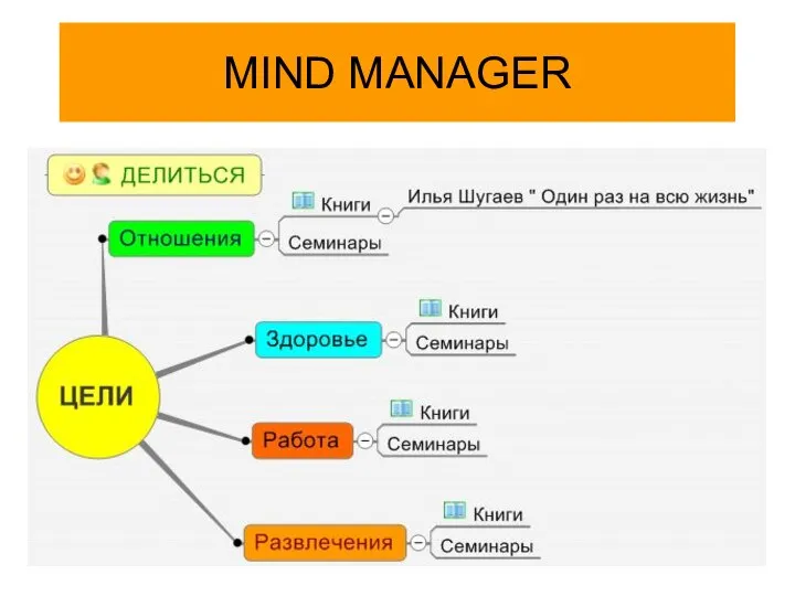 MIND MANAGER