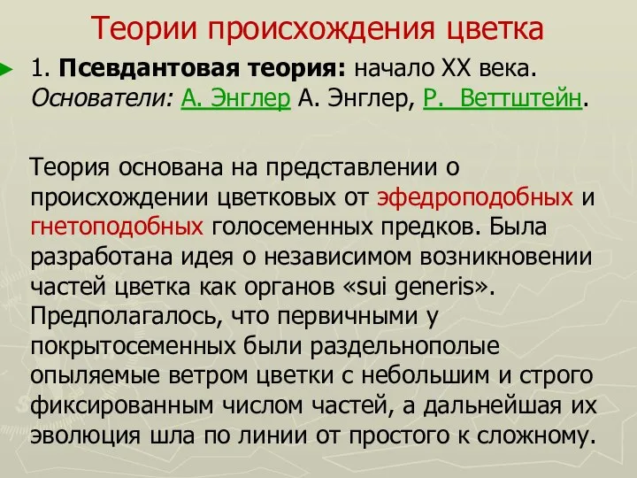 Теории происхождения цветка 1. Псевдантовая теория: начало XX века. Основатели: А. Энглер