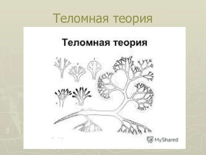 Теломная теория