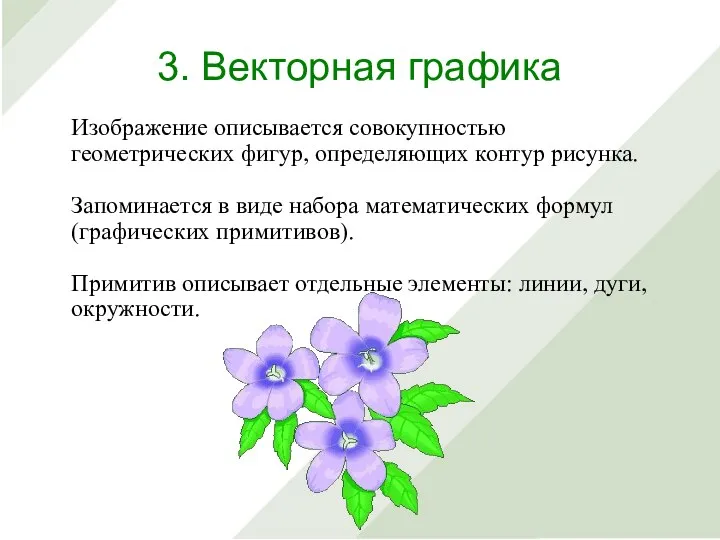 Изображение описывается совокупностью геометрических фигур, определяющих контур рисунка. Запоминается в виде набора