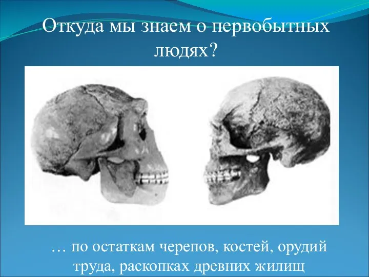 Откуда мы знаем о первобытных людях? … по остаткам черепов, костей, орудий труда, раскопках древних жилищ