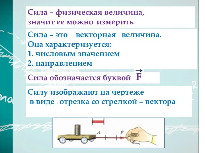 Сила – это … величина. Она характеризуется: 1. числовым значением 2. направлением