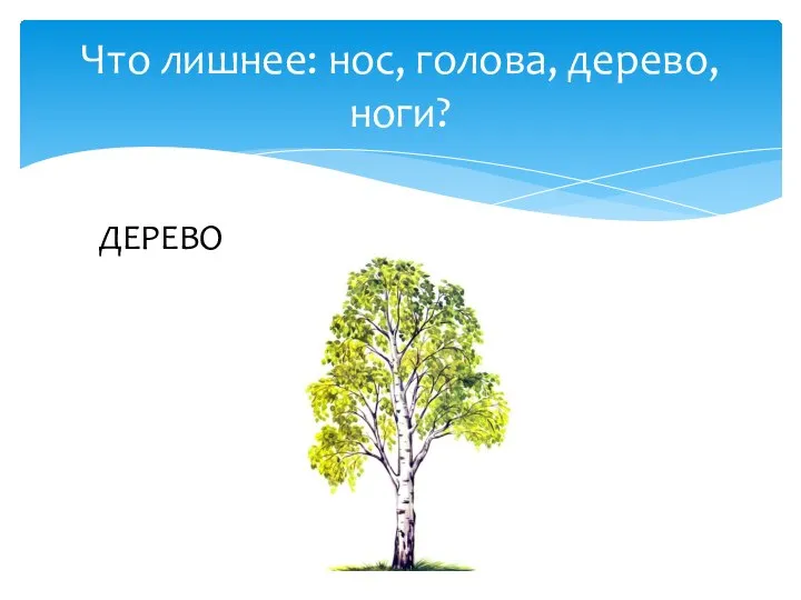 Что лишнее: нос, голова, дерево, ноги? ДЕРЕВО