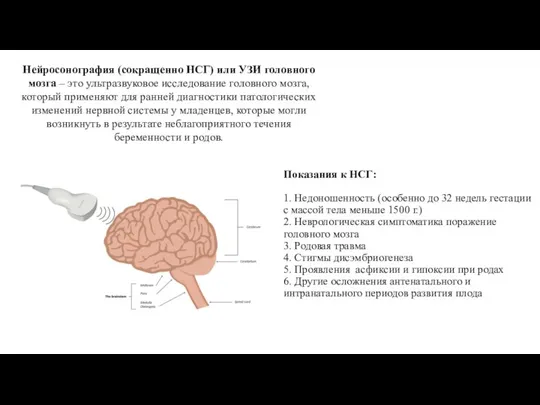Нейросонография (сокращенно НСГ) или УЗИ головного мозга – это ультразвуковое исследование головного