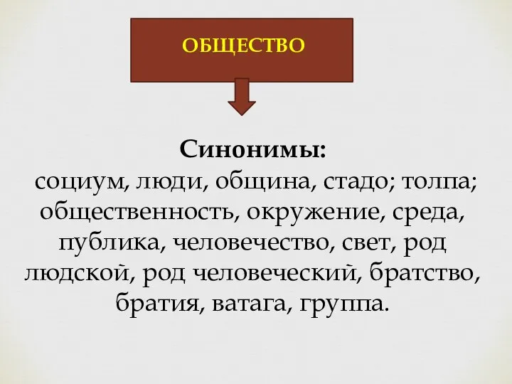 ОБЩЕСТВО Синонимы: социум, люди, община, стадо; толпа; общественность, окружение, среда, публика, человечество,