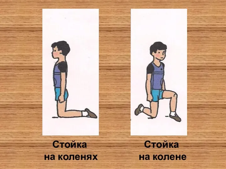 Стойка на коленях Стойка на колене