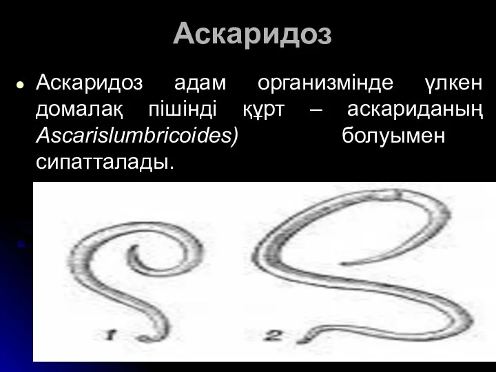 Аскаридоз Аскаридоз адам организмінде үлкен домалақ пішінді құрт – аскариданың Ascarislumbricoides) болуымен сипатталады.