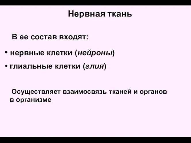 нервные клетки (нейроны) глиальные клетки (глия) Нервная ткань В ее состав входят: