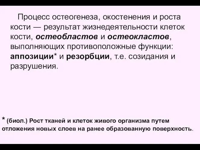 Процесс остеогенеза, окостенения и роста кости ― результат жизнедеятельности клеток кости, остеобластов